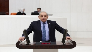 CHP'li Nalbantoğlu'ndan yangın çağrısı: Seferberlik ilan edilmeli!
