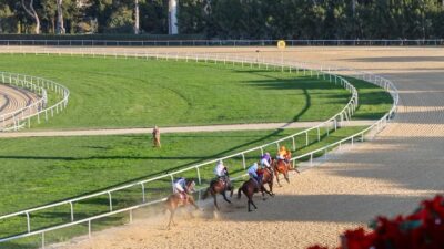 Şirinyer Hipodromu’nda düzenlenen Buca Belediye Başkanlığı Koşusu’nda zafer Önderbeyim’in oldu.