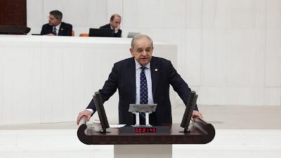 CHP İzmir Milletvekili ve Türkiye Büyük Millet Meclisi İnsan Haklarını