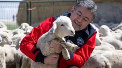 Tarım ve Orman Bakanı İbrahim Yumaklı, Kırsalda Bereket Küçükbaşa Destek