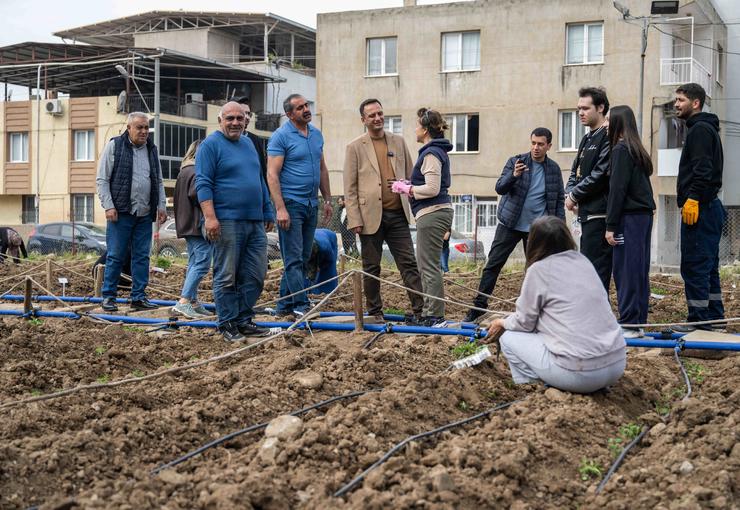 Bornova Belediyesi, Altındağ, Işıkkent, Mevlana ve Pınarbaşı kent bostanlarında yaz