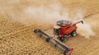 Türkiye İstatistik Kurumu (TÜİK), Mart 2026 dönemine ilişkin Yurt Dışı