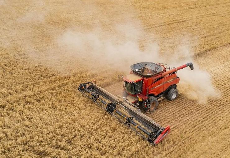 Türkiye İstatistik Kurumu (TÜİK), Mart 2026 dönemine ilişkin Yurt Dışı