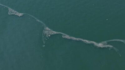 İzmir Büyükşehir Belediyesi’nin dron destekli rutin taramalarında, kasım ayından bu