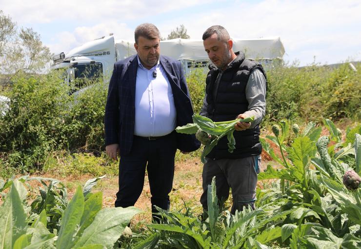 İlçenin önemli tarımsal üretim merkezlerinden Düzce Köyü’nde gerçekleşen hasada, Seferihisar