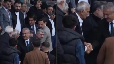 Mardin Büyükşehir Belediye Başkanı Ahmet Türk, yerine kayyım olarak atanan