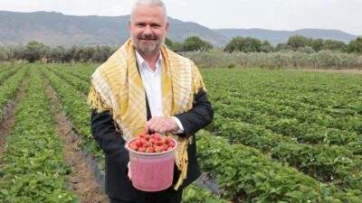 Menemen'in lezzeti ve kokusuyla meşhur Emiralem çileği için festival zamanı