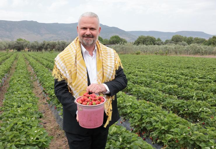 Menemen'in lezzeti ve kokusuyla meşhur Emiralem çileği için festival zamanı