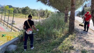Menderes Belediyesi ilçenin dört bir yanında yabancı otlarla mücadele ediyor.