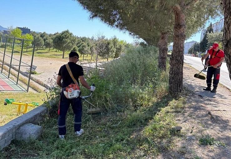 Menderes Belediyesi ilçenin dört bir yanında yabancı otlarla mücadele ediyor.