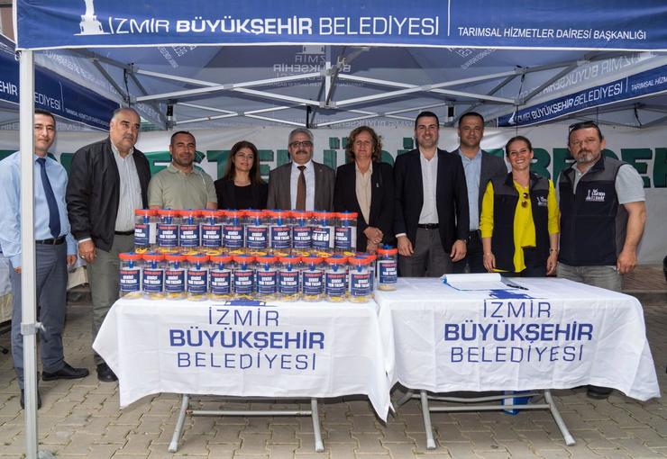 İzmir Büyükşehir Belediyesi, incirde kalite kaybına neden olan ekşilik böceğiyle