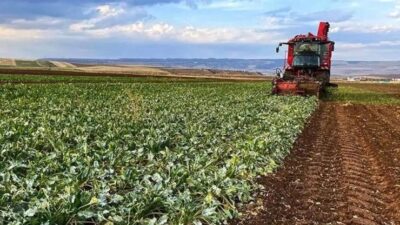 Tokat merkez ve ilçelerinde etkili olan aşırı yağış, dolu ve