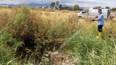 İzmir Büyükşehir Belediyesi, Kurban Bayramı öncesinde kurban satış ve kesim