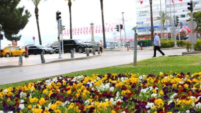 İzmir Büyükşehir Belediyesi, yılbaşından bu yana 18 bini ağaç olmak