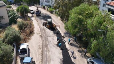 Ayvalık Belediyesi Fen İşleri Müdürlüğü ekipleri, 150 Evler ile Ali
