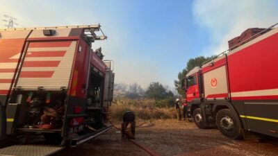 İzmir Büyükşehir Belediyesi İtfaiye Dairesi Başkanlığı ekipleri, Dikili ilçesine bağlı