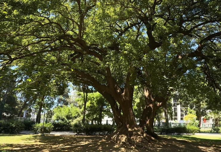 İzmir Büyükşehir Belediyesi’nin proje ortakları arasında yer aldığı Avrupa Birliği