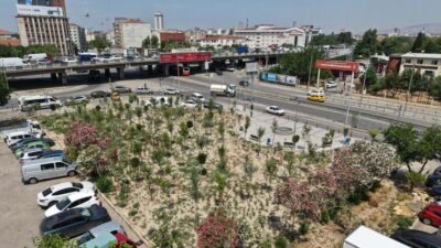Kemer’deki atıl alan, İzmir Büyükşehir Belediyesi’nin çalışmasıyla mikro ormana dönüştü.
