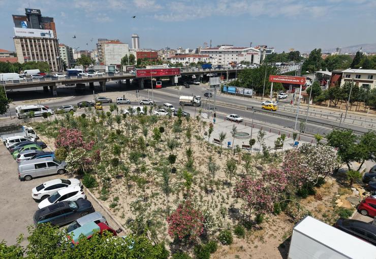 Kemer’deki atıl alan, İzmir Büyükşehir Belediyesi’nin çalışmasıyla mikro ormana dönüştü.