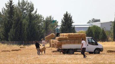 Buca Belediyesi, köyler bölgesinde hayvancılıkla geçinen üreticilere ücretsiz saman balyası