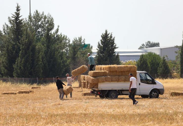 Buca Belediyesi, köyler bölgesinde hayvancılıkla geçinen üreticilere ücretsiz saman balyası