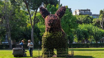 İzmir Büyükşehir Belediyesi, Kültürpark'ta yürüttüğü gençleştirme çalışmaları kapsamında ayı, köpek