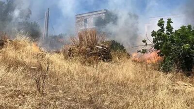 Muğla'nın Bodrum ilçesinde, otluk alanda çıkıp ormana sıçrayan yangın, ekiplerin