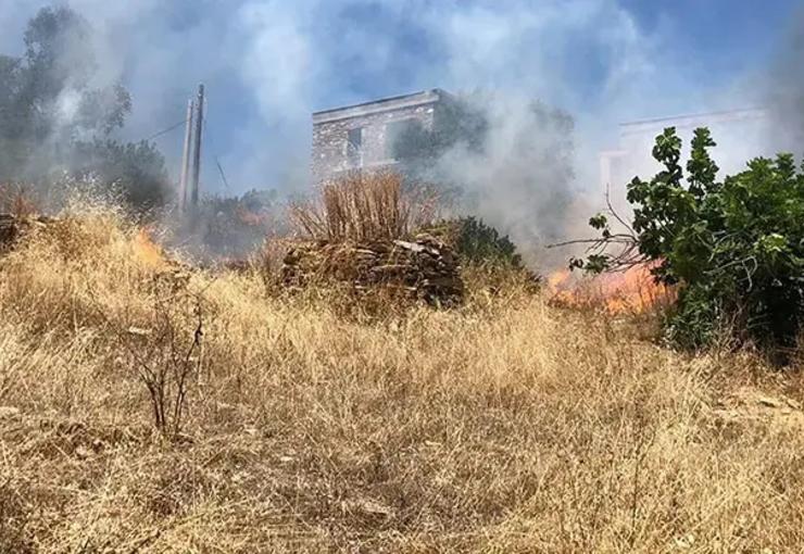 Muğla'nın Bodrum ilçesinde, otluk alanda çıkıp ormana sıçrayan yangın, ekiplerin
