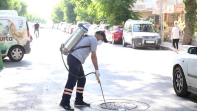 Karşıyaka Belediyesi, yıl boyunca kesintisiz sürdürdüğü haşere ve sivrisinek mücadelesine