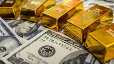 Türkiye Cumhuriyet Merkez Bankası resmi rezerv varlıkları, 10 Temmuz haftasında