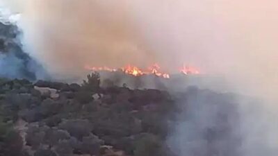 İzmir’in Bornova ilçesinde bulunan Homeros Vadisi olarak bilinen bölgede sabah