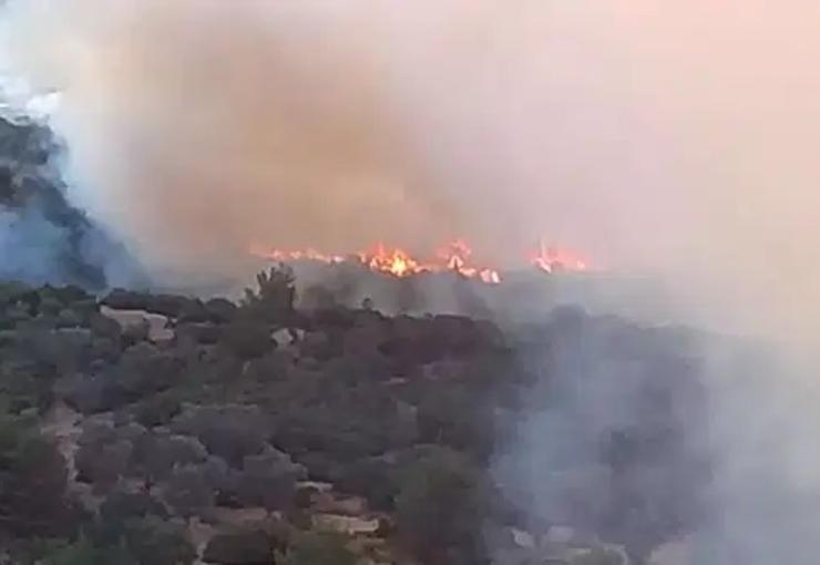İzmir’in Bornova ilçesinde bulunan Homeros Vadisi olarak bilinen bölgede sabah
