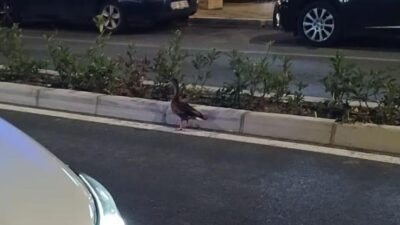 İzmir Büyükşehir Belediyesi zabıta ekipleri, Karşıyaka'da taksilere yönelik denetm sırasında