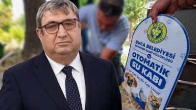 Sıcak yaz günlerinde sokak hayvanlarının bir kap su bulması hayati