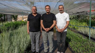 Bornova Belediye Başkanı Ömer Eşki, Bornova Belediyesi Park ve Bahçeler