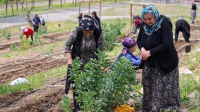 İzmir Büyükşehir Belediyesi’nin kent içinde tarımı teşvik eden ve kadın