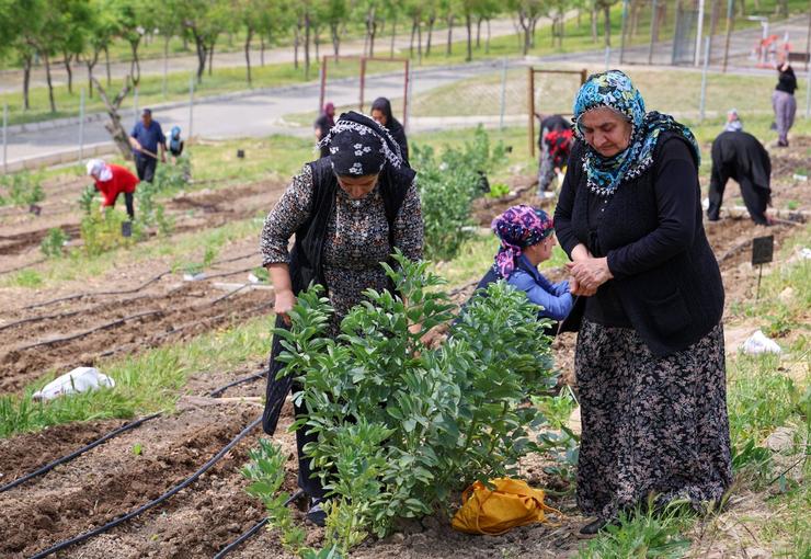 İzmir Büyükşehir Belediyesi’nin kent içinde tarımı teşvik eden ve kadın