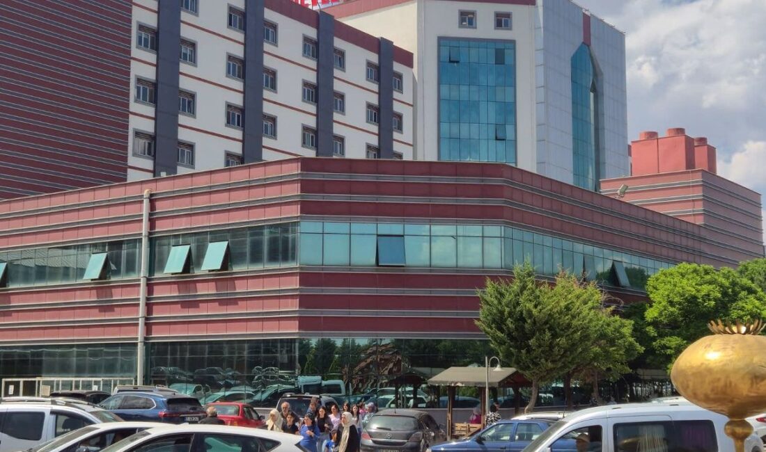 Afyonkarahisar Erkmen beldesindeki bir domates serasında yapılan ilaçlama sonrası yaklaşık