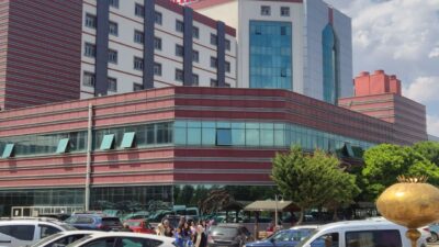 Afyonkarahisar Erkmen beldesindeki bir domates serasında yapılan ilaçlama sonrası yaklaşık