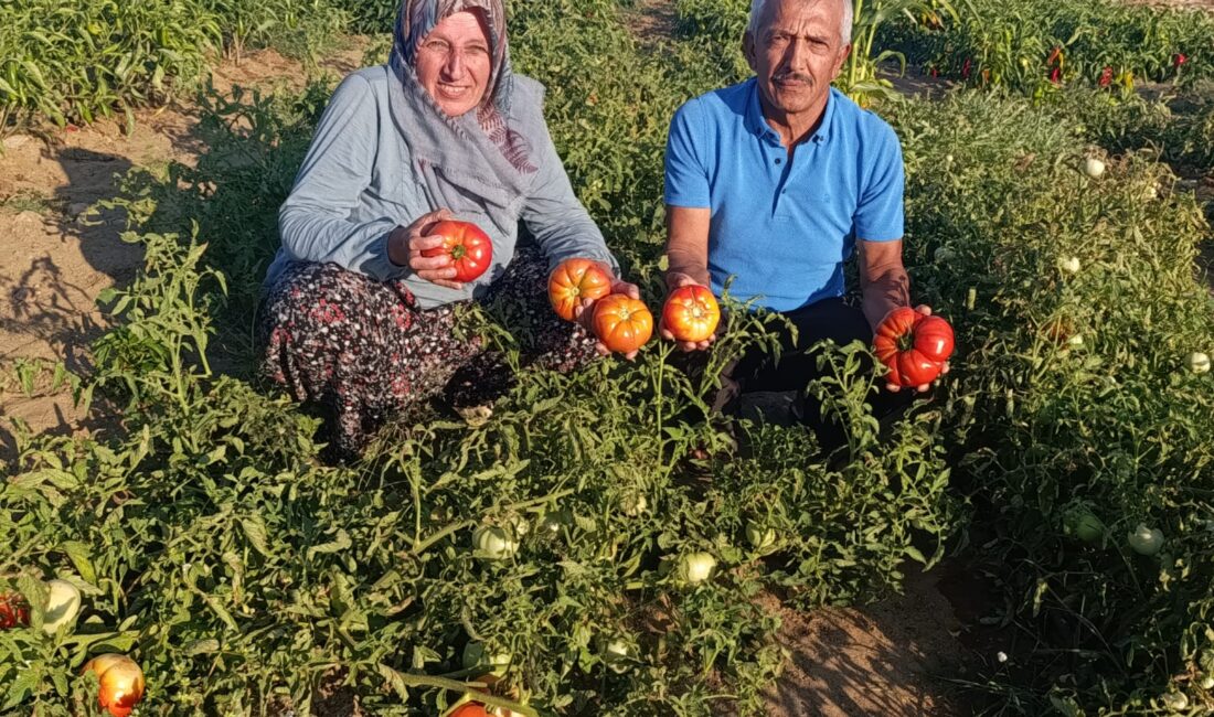 Manisa’nın Köprübaşı ilçesine bağlı Yeşilköy mahallesinden yıllar önce Manisa merkeze