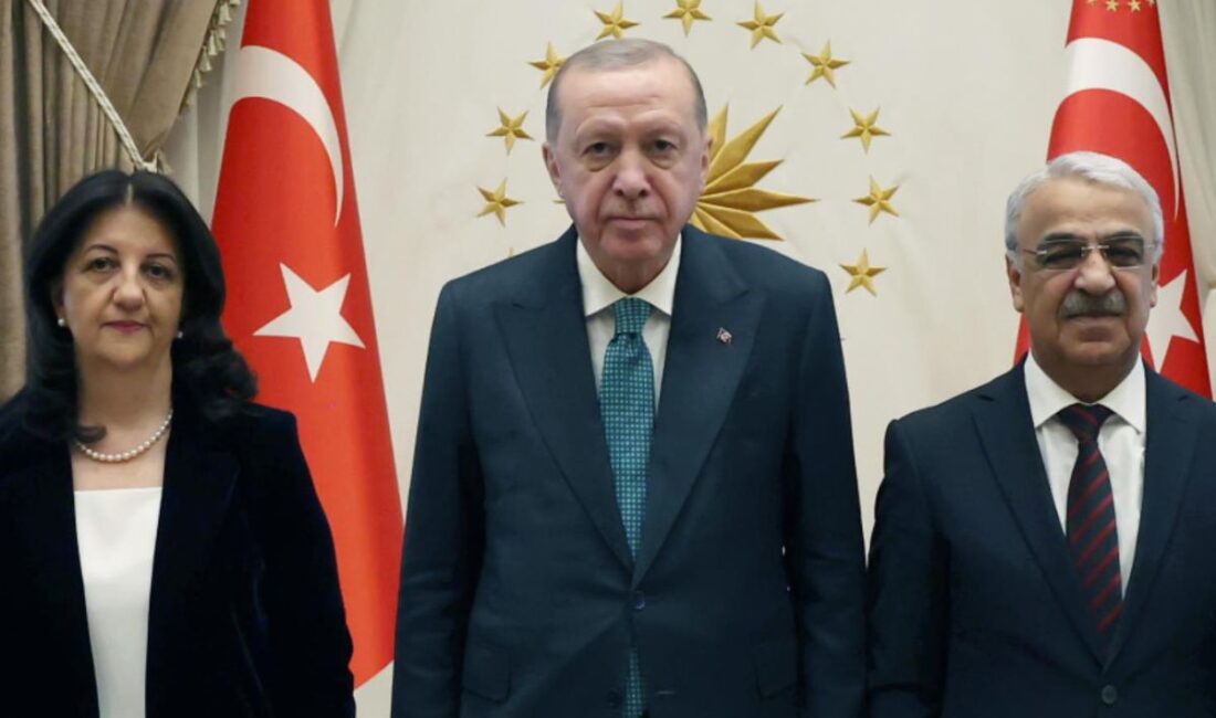 Cumhurbaşkanı Recep Tayyip Erdoğan, Pervin Buldan, Mithat Sancar ve Avukat