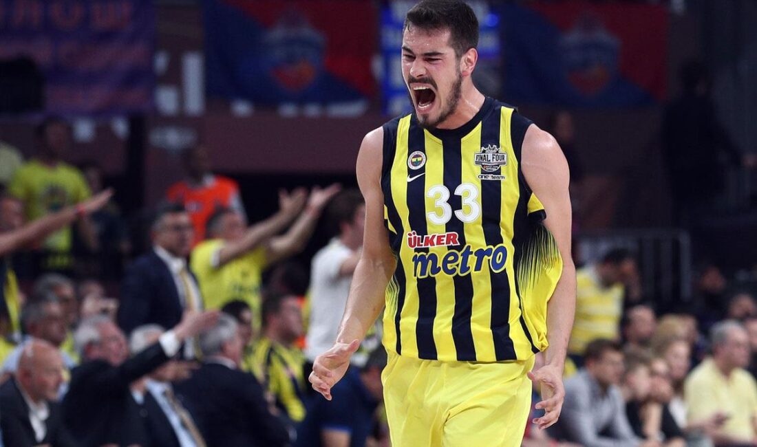 Fenerbahçe'nin ilk kazandığı EuroLeague şampiyonluğunda önemli pay sahibi olan Nikola