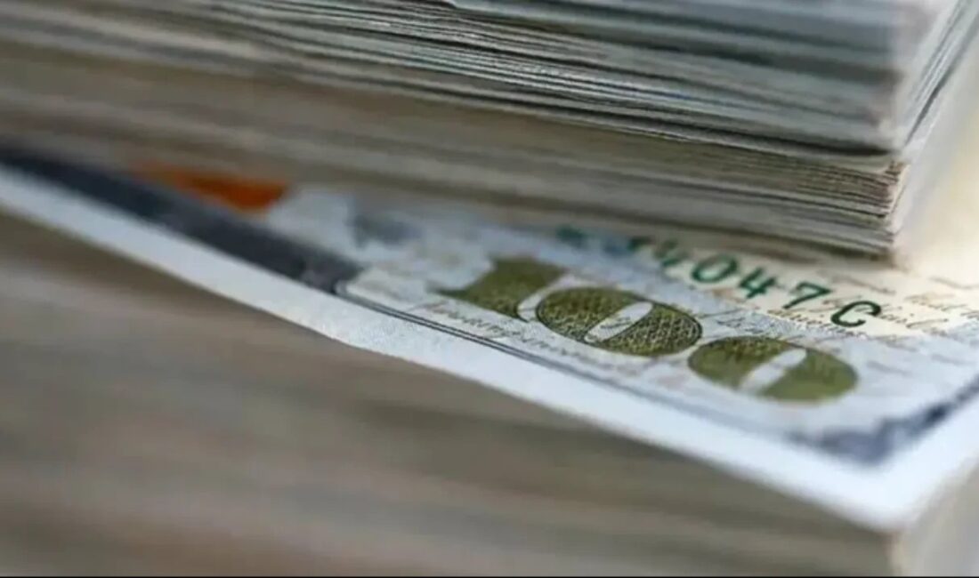Türkiye Cumhuriyet Merkez Bankası (TCMB), Haziran ayına ilişkin Kısa Vadeli