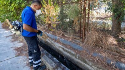 İzmir Büyükşehir Belediyesi, sivrisinek başta olmak üzere vektörlere karşı mücadelesini