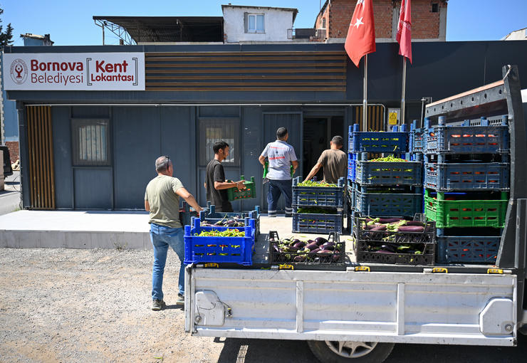 Bornova Belediyesi’nin Yakaköy’de hayata geçirdiği 20 dönümlük Dayanışma Tarlası’nda hasat