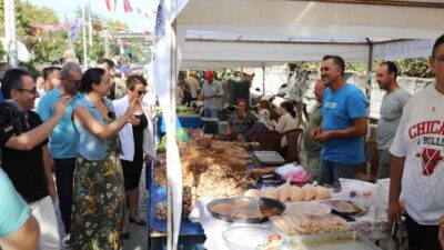 Efes Selçuk Belediyesi ve İzmir Büyükşehir Belediyesi iş birliğiyle düzenlenecek