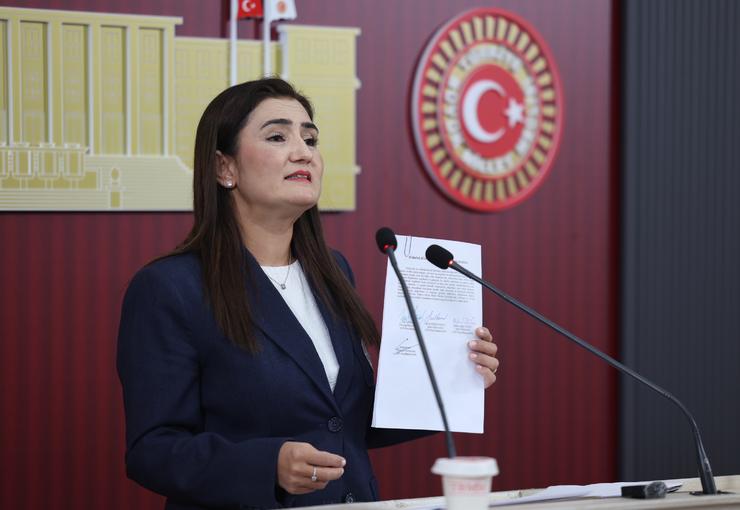 CHP Grup Başkanvekili ve İzmir Milletvekili Av. Sevda Erdan Kılıç,