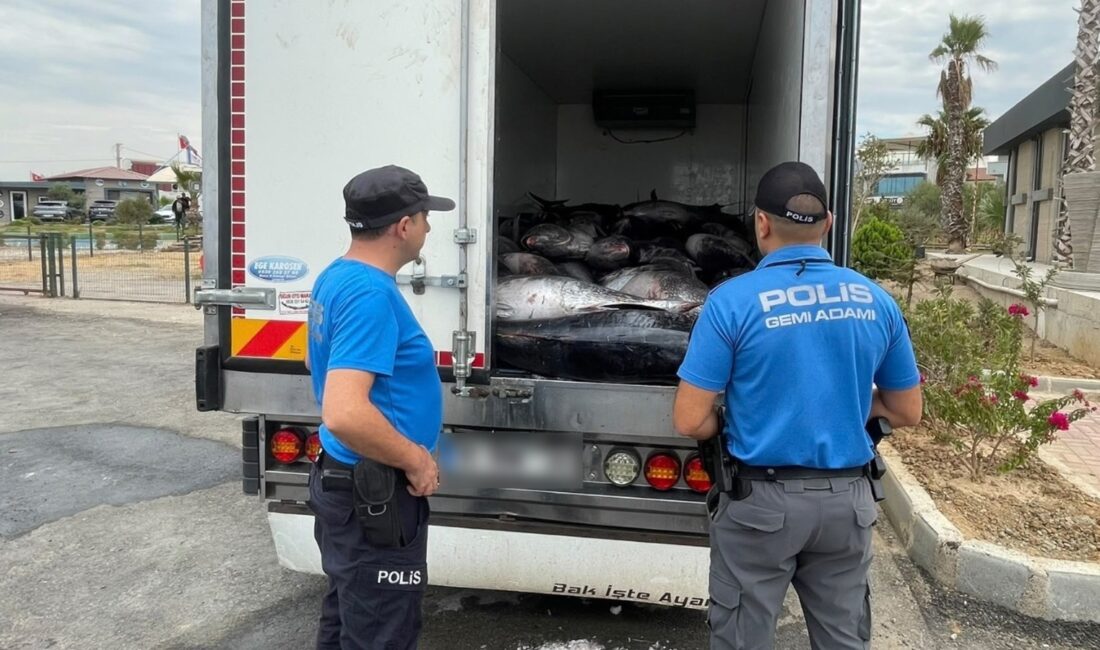 İzmir Deniz Polisi ekiplerinin kaçak ve izinsiz su ürünleri avcılığının