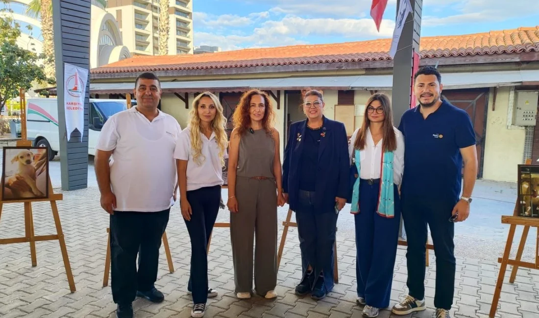 Tay Park'taki “Bir Nota Bir Yuva” etkinliğinde 20 köpeğin hikâyesi