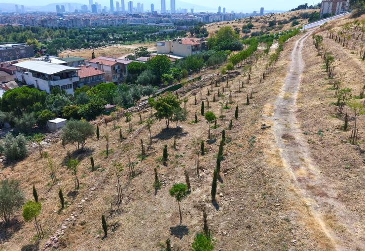 İzmir Büyükşehir Belediyesi, 13 ağaçlandırma sahasında toplam 1 milyon 522